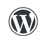 WordPress Plugin Development
